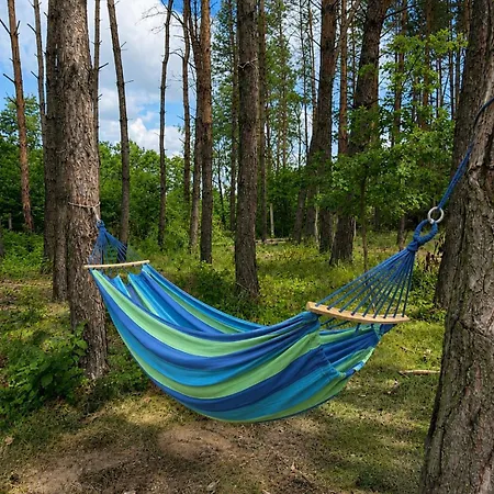 Albergue Dom Winnica *